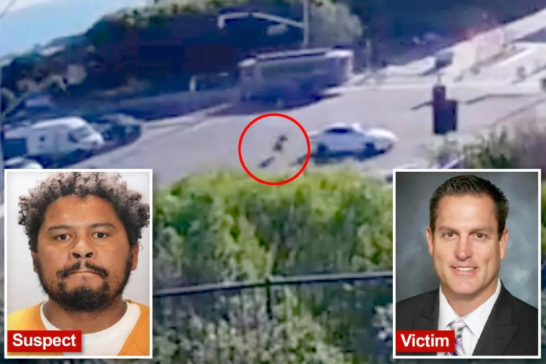 California ER Doctor Fatally Run Over and Stabbed by Man Claiming to Be “God and Jesus Christ”