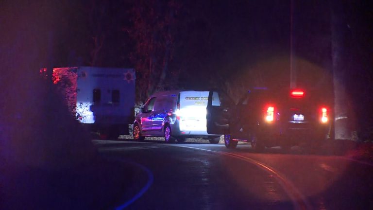 California Authorities Detain 14-Year-Old for Alleged Role in Parents’ Deaths and Sister’s Attempted Murder