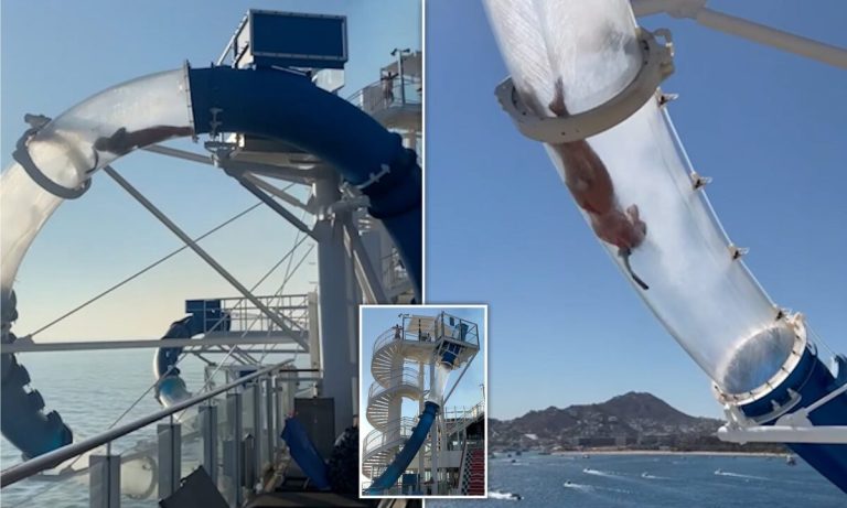 Cruise Ship Passenger Gets Trapped in Waterslide Suspended Over the Ocean