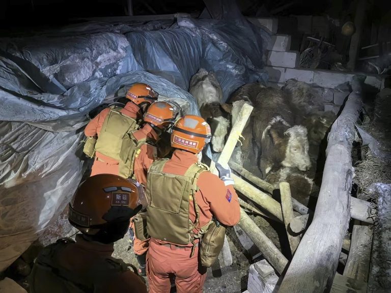 Mass Evacuations Follow 7.1 Magnitude Earthquake in Western China