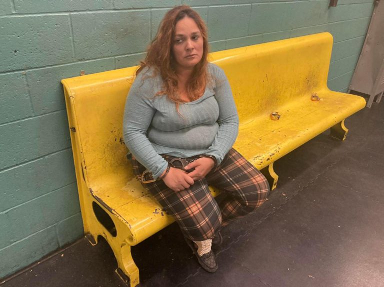Eight Abducted Children Found in California Parking Lot, Mother Arrested