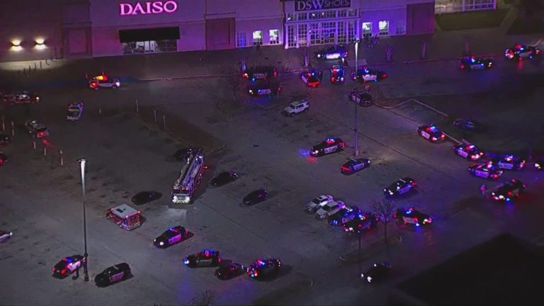 Arlington Mall: Several Individuals Arrested in Connection with Shooting