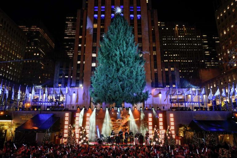 Arrests Made Following Pro-Palestinian Demonstration in Vicinity of Rockefeller Center Tree Lighting