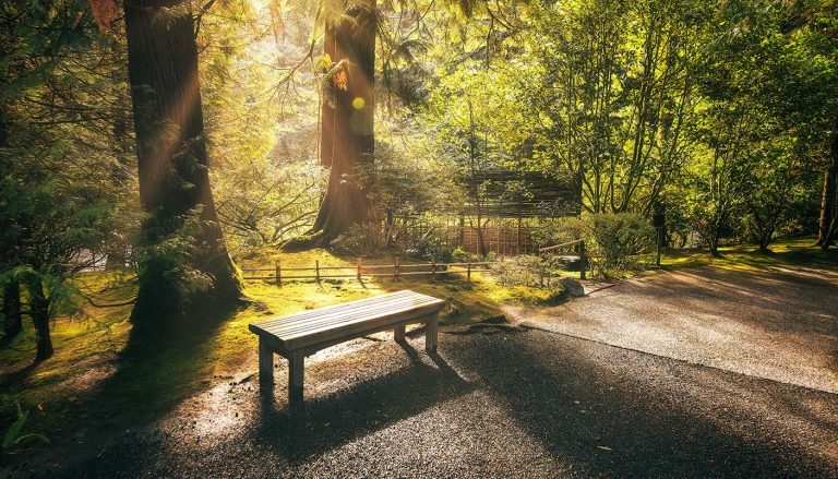 What are the benefits of spending time in nature?