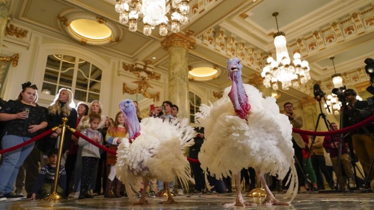 Biden Marks 81st Birthday with Thanksgiving Turkey Pardon Tradition