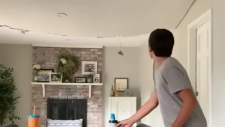 Dining Room Ceiling Collapses in Virginia Home, Captured on Video