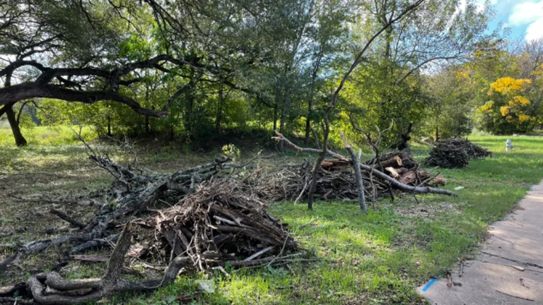 District Attorney Rejects Charges Against Austin Homeless Man