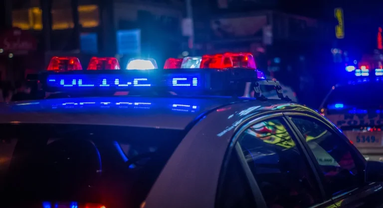 Tragic Dog Mauling Claims Life of 4-Year-Old in Detroit Backyard