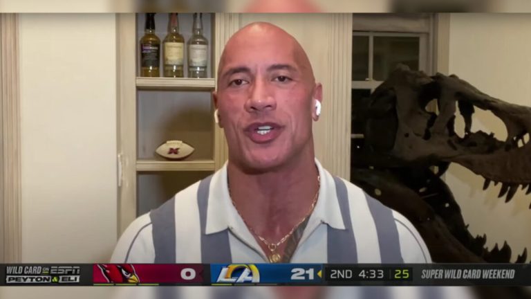 Did The Rock buy Stan, the most expensive Tyrannosaurus rex on record?