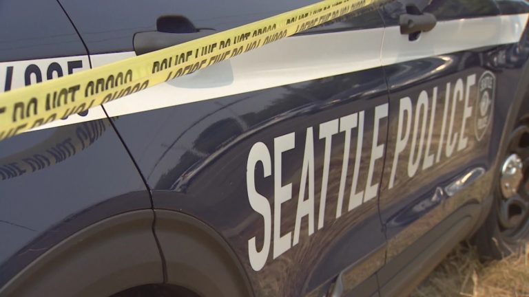 Fatal Shooting at Seattle Hookah Lounge Claims Three Lives