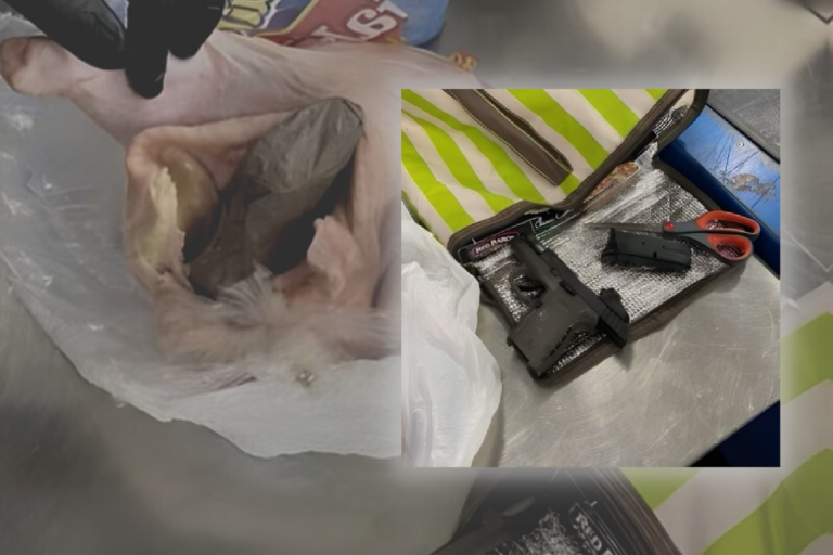 TSA discovers stuffed gun in raw chicken at Florida airport