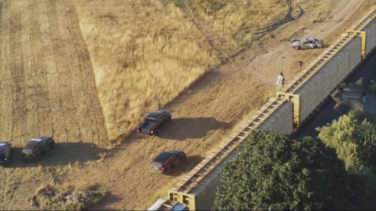 Tragedy Strikes as Freight Train Collides with Car in Oregon