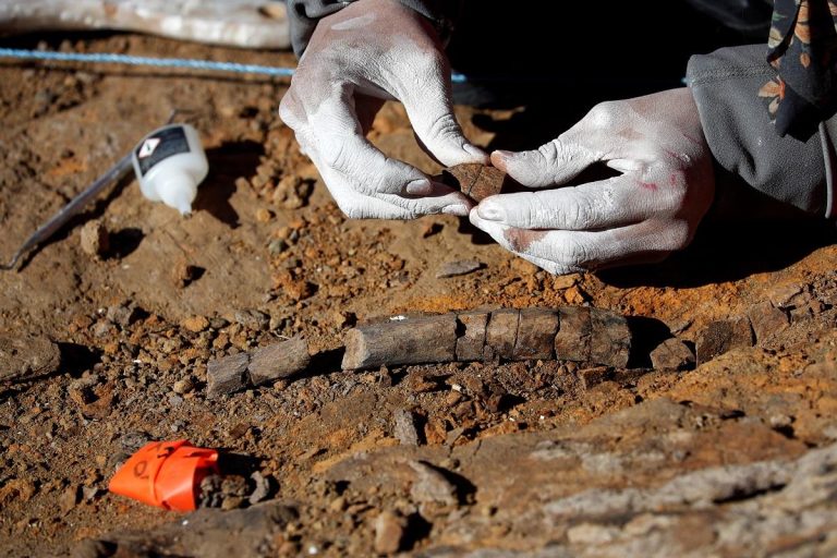 Duck-Billed Dinosaur Unearthed in Groundbreaking Discovery