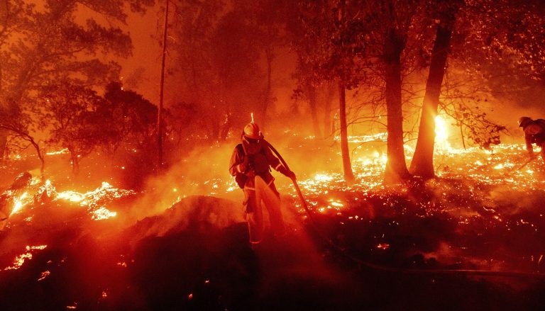 Devastating Wildfires in Hawaii Prompt Urgent Evacuations