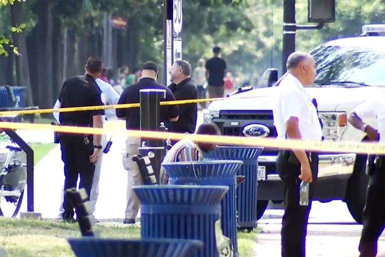 75-Year-Old Man Dies in Fatal Hit-and-Run Near National Mall