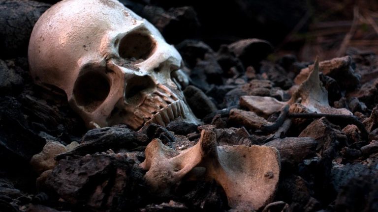 Mysterious Human Skull Discovered by Campers in Iowa Park Triggers Investigation