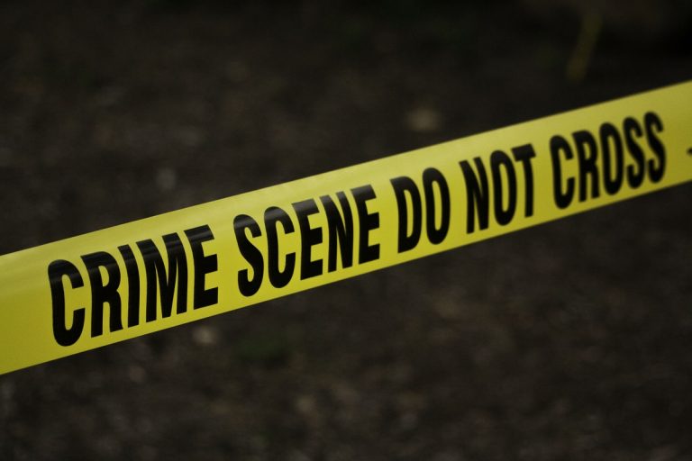 5-Year-Old Girl Succumbs to Injuries Sustained at Southern Illinois County Fair