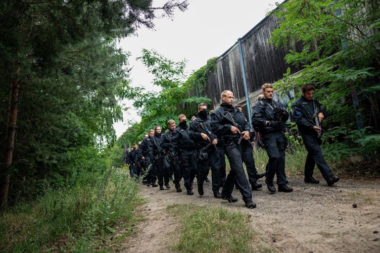 The Lioness Hunt That Never Was: German Police Operation Comes to an Unexpected End