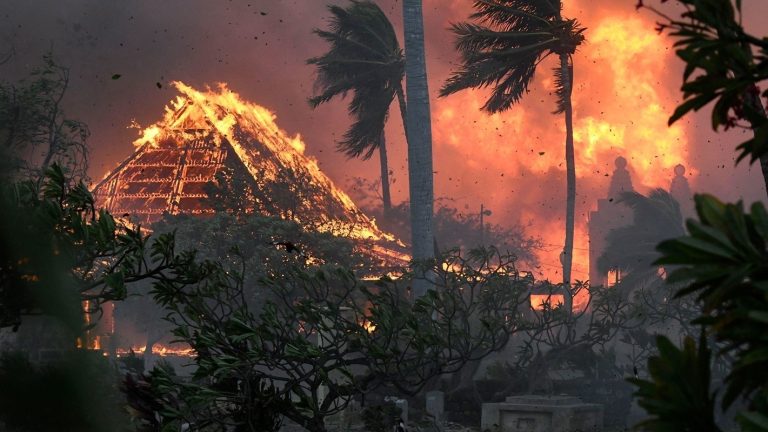 Woman Who Escaped Maui Wildfires by Running Through Burning Field Passes Away