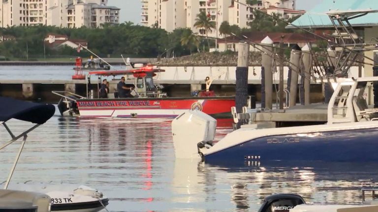 Miami Port Tragedy: Man Dead and Another Hospitalized as Boats Collide