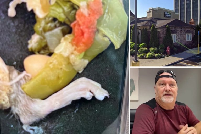 Michigan Man Files Lawsuit Against Olive Garden Alleging Discovery of Rat’s Foot in Minestrone Soup in Soup