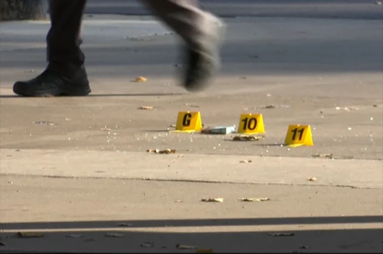 Michigan Man Charged in Toddler’s Self-Shooting with His Firearm
