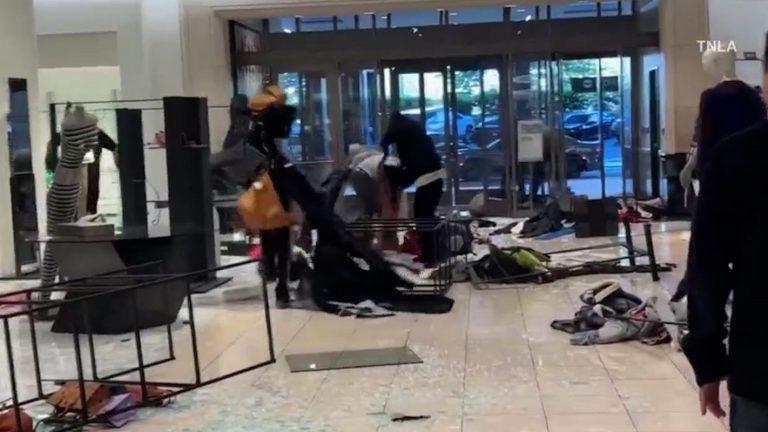 Mob of Criminals’ Makes Off with Over $300K in Merchandise in Los Angeles