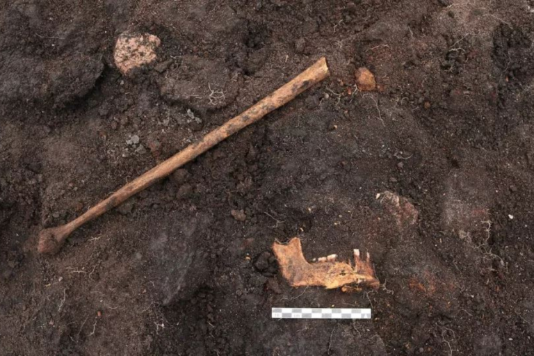 Mysterious 5000-year-old bog body suspected to be a human sacrifice victim