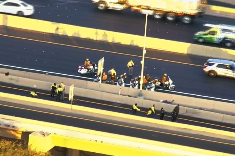 Nevada State Troopers Killed in Hit-and-Run Tragedy on Las Vegas Freeway