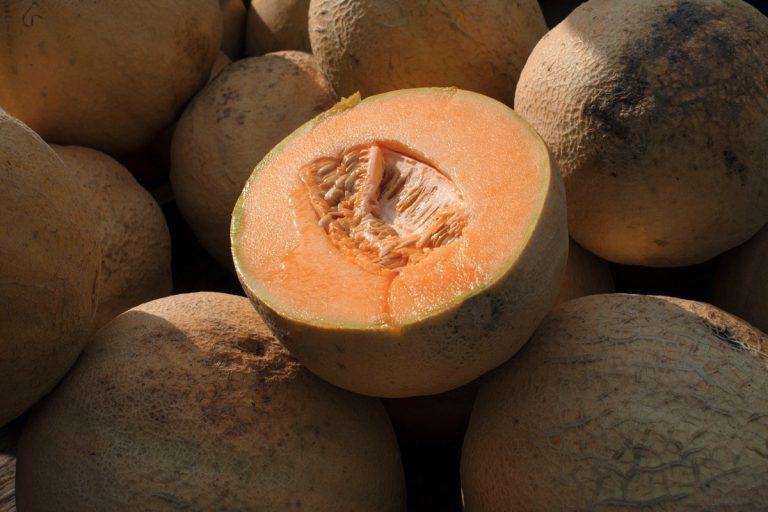 Salmonella Outbreak: Cantaloupe Recall Expands with 18 New Illnesses Reported