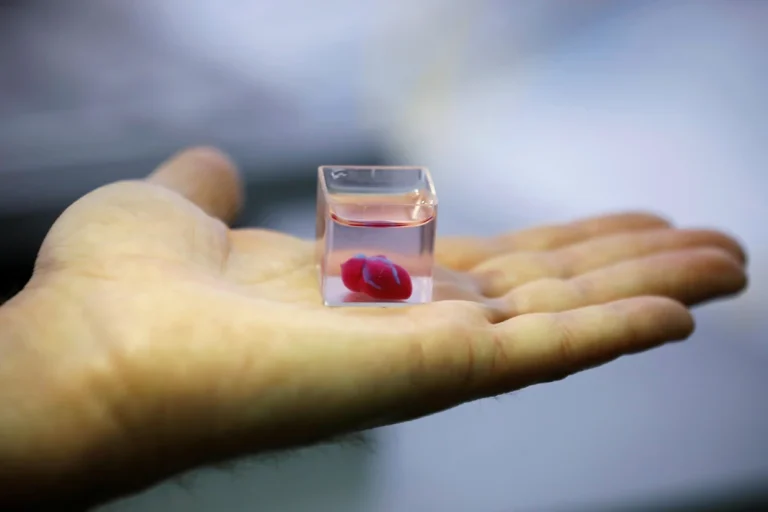 Researchers Harness 3D Printing to Create Implantable Brain Tissue from Stem Cells