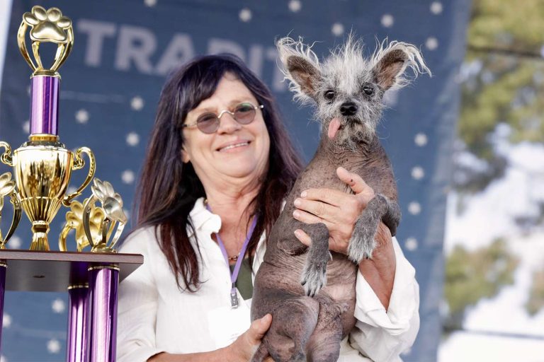 Introducing Scooter: Champion of the 2023 World’s Ugliest Dog Competition