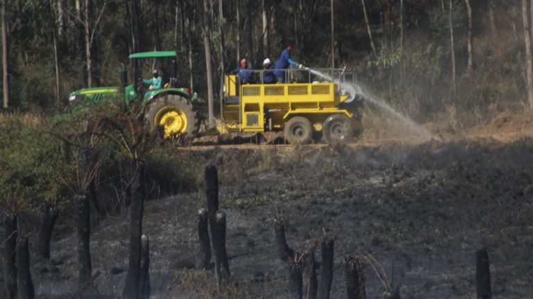 Six Firefighters Dead, Two Critically Injured in South African Bushfire