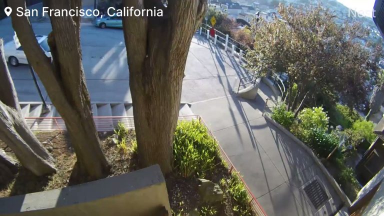 Stolen Car Plunges Over San Francisco Stairs, Occupants Survive and Flee the Scene