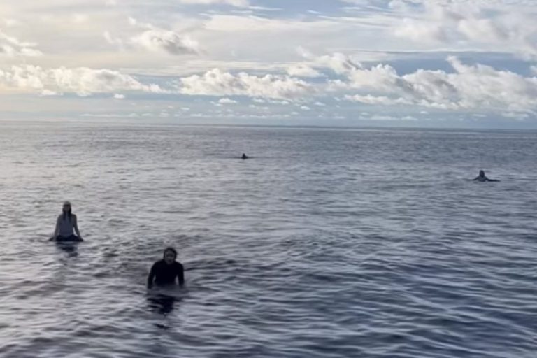 Stranded Surfers Found and Rescued After Days Adrift at Sea