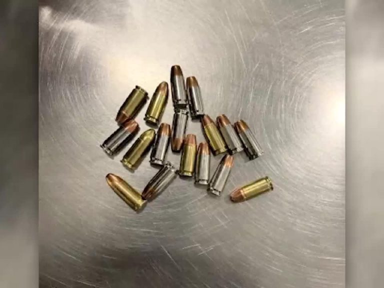 TSA Thwarts Attempt to Smuggle Bullets Disguised in Baby Diaper