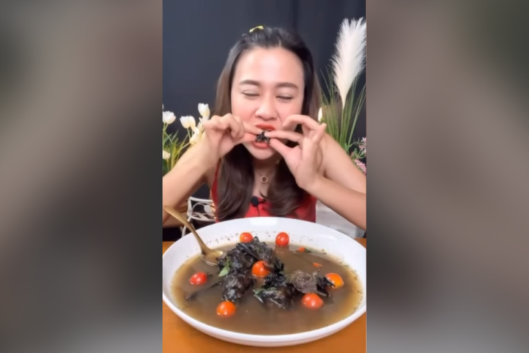 Thai woman faces 5 years in prison after eating bat soup
