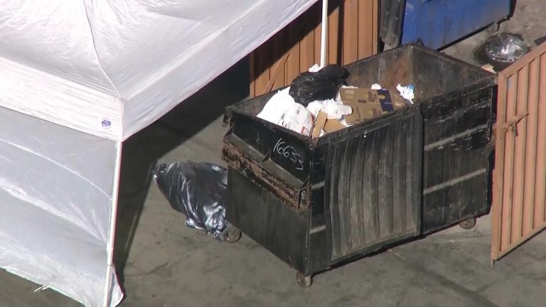 Woman’s Torso Found in Trash in California