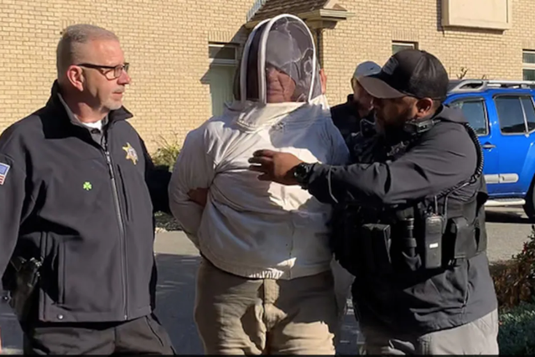 MA woman releases swarm of bees at police trying to serve eviction notice