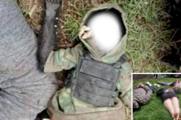 Spider monkey found dead wearing bullet proof vest after cartel shootout in Mexico