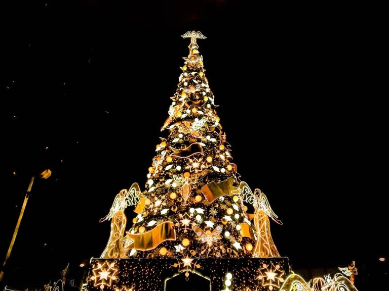 Woman Killed by Falling Christmas Tree in Belgium
