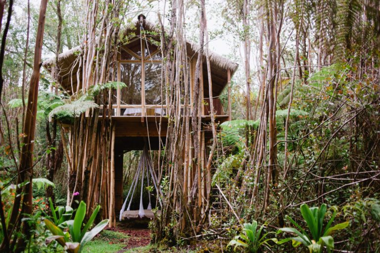 Weird Airbnb Makes Successful Business Venture for One Creative Designer