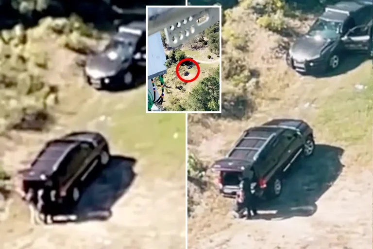 Georgia Cop Caught Having Sex Behind Squad Car in Viral TikTok