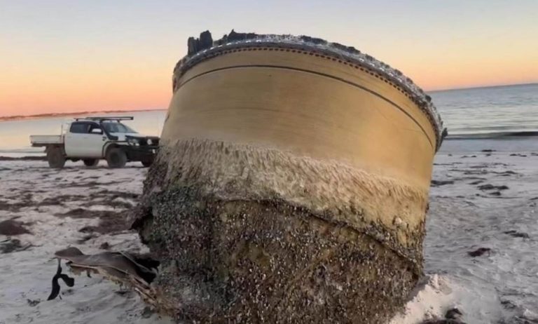 Mysterious Metal Object Makes Waves on Australian Beach