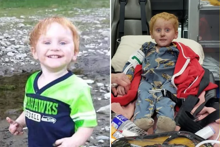 Montana: 3-year-old boy found alive after surviving alone in the wilderness for 2 days