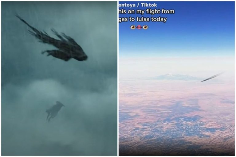 Airline Passenger Sparks Wild Theories After Spotting Dementor-like Object in Sky