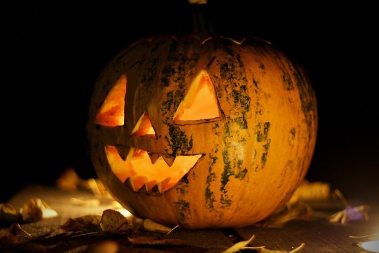 Cold Case Cracked: 41-Year-Old Indiana Halloween Murder Sees Arrest