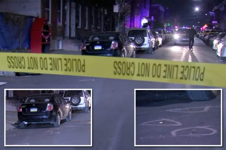 Pizza Deliveryman Shoots Attempted Carjacker 6 Times in Philadelphia