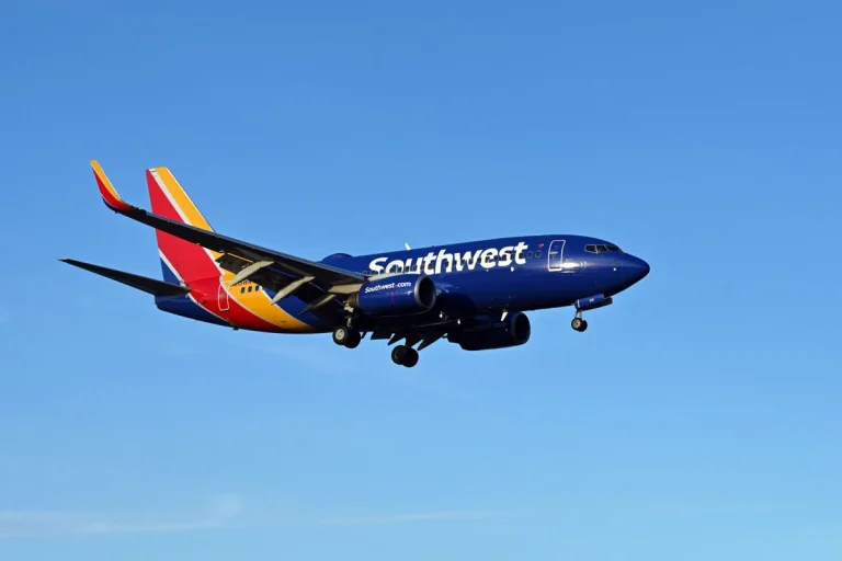 Southwest Passenger Yanks his Chain on Woman Mid Flight