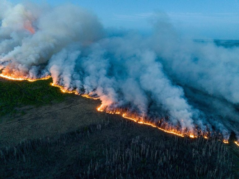 Wildfires in Canada Deemed as “Out of Control”